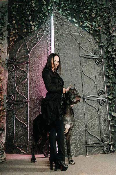 Hermosa joven posando con su gran perro danés en el estudio cerca de grandes puertas negras fondo —  Fotos de Stock