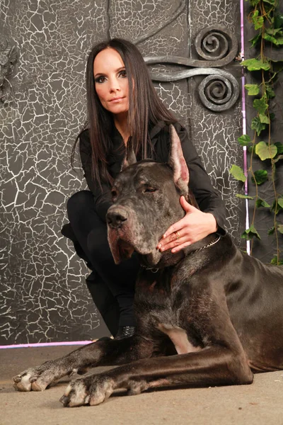 Mulher bonita posando com seu cão Great Dane no estúdio perto de grandes portões negros fundo — Fotografia de Stock