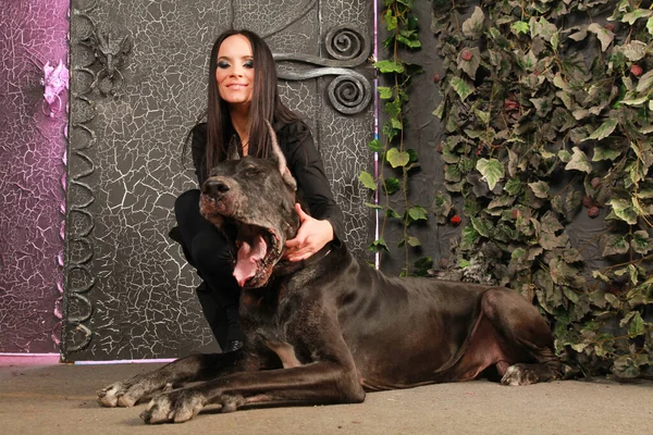 Mulher bonita posando com seu cão Great Dane no estúdio perto de grandes portões negros fundo — Fotografia de Stock