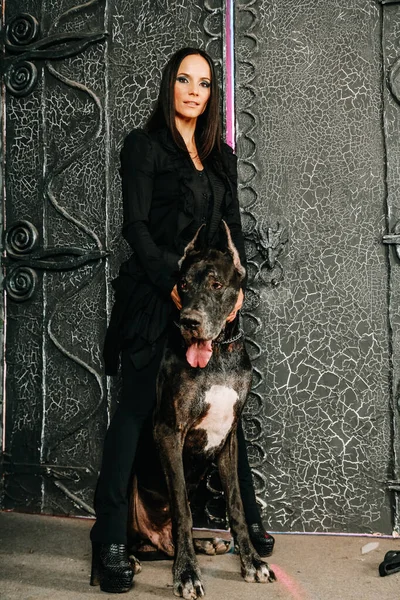 Hermosa joven posando con su gran perro danés en el estudio cerca de grandes puertas negras fondo —  Fotos de Stock