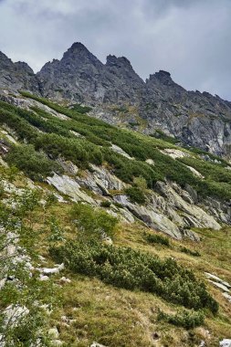 Güzel panoramik Yüksek Tatras dağlarda erken sonbahar, Kuzey Slovakya, Predne Solisko.