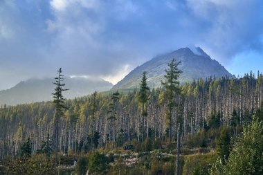 Güzel panoramik Yüksek Tatras dağlarda erken sonbahar, Kuzey Slovakya, Predne Solisko.