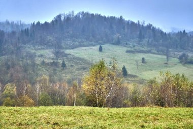Bieszczady Dağlar (Polonya) orman puslu bir sonbahar gününde güzel bir gizemli görünümü