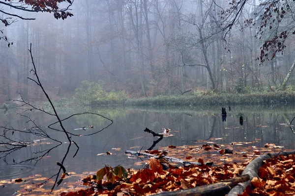 Une Belle Vue Mystérieuse Sur Les Lacs Duszatynskie Deux Lacs — Photo