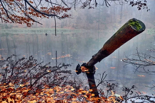 Une Belle Vue Mystérieuse Sur Les Lacs Duszatynskie Deux Lacs — Photo