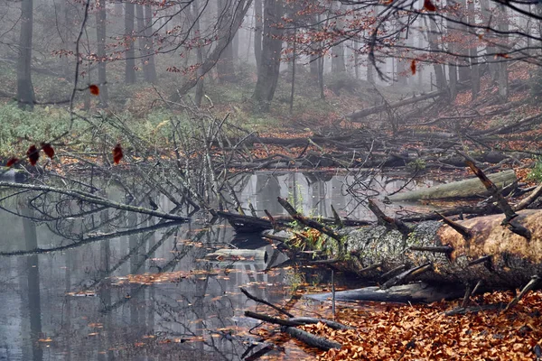 Uma Bela Vista Misteriosa Lagos Duszatynskie Dois Lagos Deslizamento Terra — Fotografia de Stock