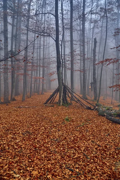 Une Belle Vue Mystérieuse Sur Forêt Dans Les Montagnes Bieszczady — Photo