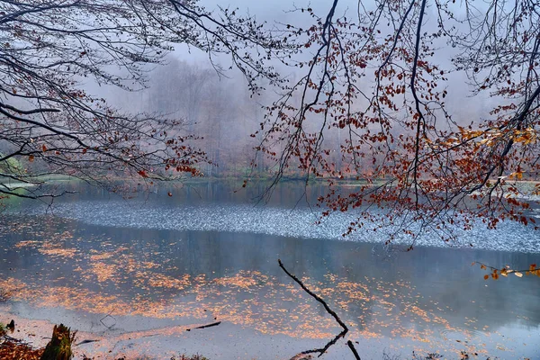 Una Hermosa Vista Misteriosa Los Lagos Duszatynskie Dos Lagos Deslizamiento —  Fotos de Stock