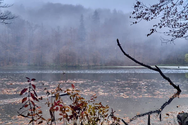 Une Belle Vue Mystérieuse Sur Les Lacs Duszatynskie Deux Lacs — Photo