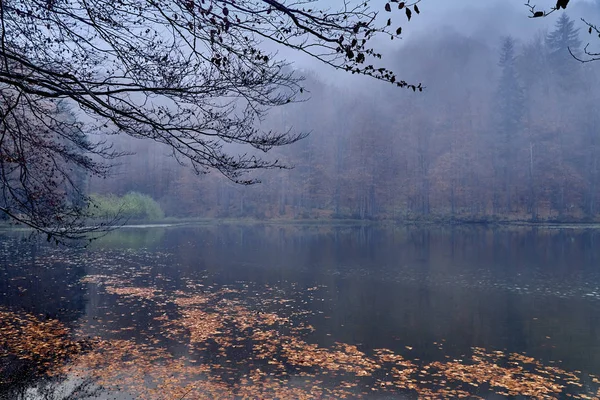 Une Belle Vue Mystérieuse Sur Les Lacs Duszatynskie Deux Lacs — Photo