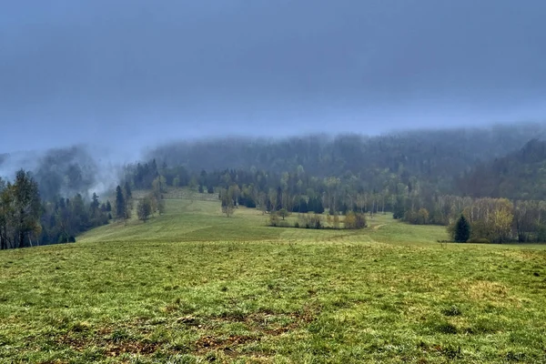 Mystisk Vacker Utsikt Över Skogen Bieszczady Bergen Polen Dimmig Höstdag — Stockfoto