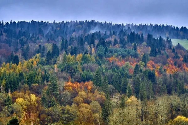 Ein Wunderschöner Geheimnisvoller Blick Auf Den Wald Bieszczady Gebirge Polen — Stockfoto