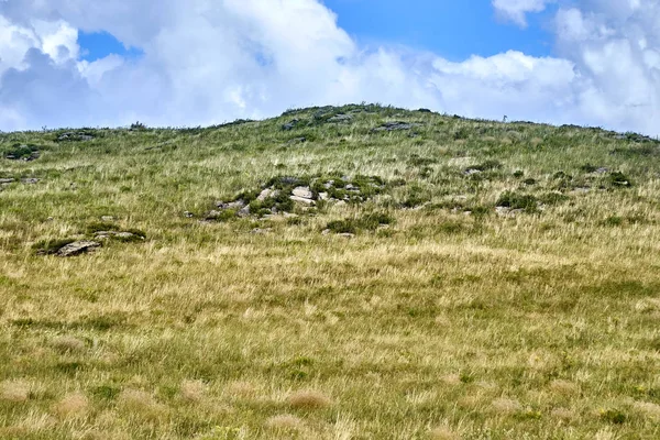 Hermoso Paisaje Estepa Montañas Piedra Largo Carretera Ciudad Ust Kamenogorsk —  Fotos de Stock