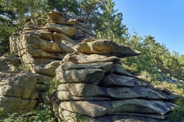 İrtiş, Doğu Kazakistan Nehri vadisinde Bukhtarma dağlara gün batımında güzel panoramik hava yaz görünümü