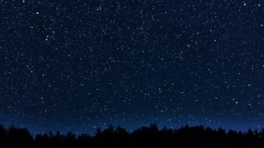 Muhteşem güzel gece gökyüzü yıldız izi Timelapse video 4k, nehir ve orman üzerinde şeffaf Nisan gecesi