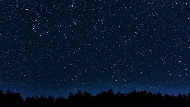 Wonderful Beautiful Night Sky Star Trail Timelapse Video River Forest Stock Video C Udmurd