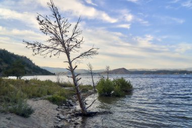 Irtysh nehri üzerindeki Bukhtarma hidroelektrik santralinin barajının oluşturduğu Bukhtarma yapay rezervuarına güzel panoramik hava dansı görünümü, Doğu Kazakistan