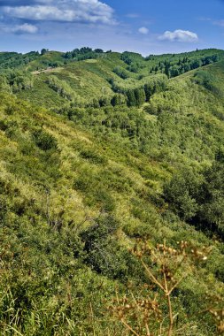 İrtiş, Doğu Kazakistan Nehri vadisinde Bukhtarma dağlara gün batımında güzel panoramik hava yaz görünümü