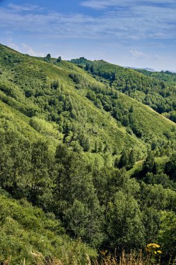 İrtiş, Doğu Kazakistan Nehri vadisinde Bukhtarma dağlara gün batımında güzel panoramik hava yaz görünümü