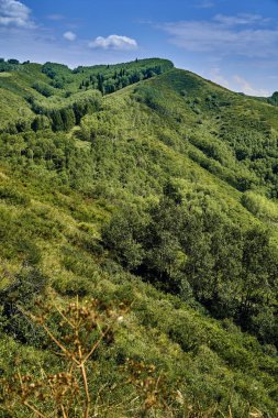 İrtiş, Doğu Kazakistan Nehri vadisinde Bukhtarma dağlara gün batımında güzel panoramik hava yaz görünümü