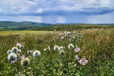 İrtiş, Doğu Kazakistan Nehri vadisinde Bukhtarma dağlara gün batımında güzel panoramik hava yaz görünümü