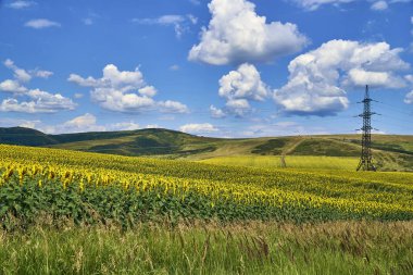 İrtiş, Doğu Kazakistan Nehri vadisinde Bukhtarma dağlara gün batımında güzel panoramik hava yaz görünümü