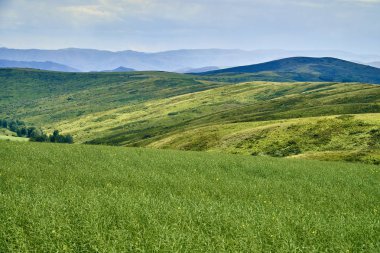 İrtiş, Doğu Kazakistan Nehri vadisinde Bukhtarma dağlara gün batımında güzel panoramik hava yaz görünümü