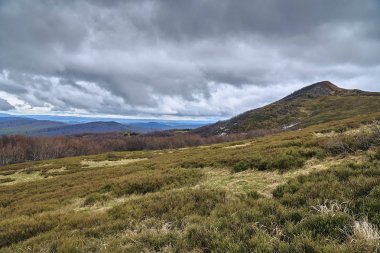 Bieszczady dağlarda ormanın güzel bir panoramik gizemli görünümü (Polonya) sisli bir yağmurlu bahar Mayıs günü, doğa yalnız - insanlar olmadan