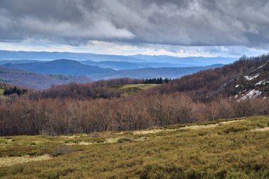 Bieszczady dağlarda ormanın güzel bir panoramik gizemli görünümü (Polonya) sisli bir yağmurlu bahar Mayıs günü, doğa yalnız - insanlar olmadan