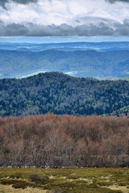 Bieszczady dağlarda ormanın güzel bir panoramik gizemli görünümü (Polonya) sisli bir yağmurlu bahar Mayıs günü, doğa yalnız - insanlar olmadan