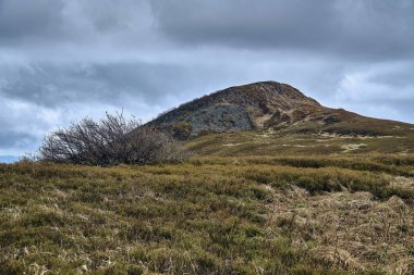 Bieszczady dağlarda ormanın güzel bir panoramik gizemli görünümü (Polonya) sisli bir yağmurlu bahar Mayıs günü, doğa yalnız - insanlar olmadan