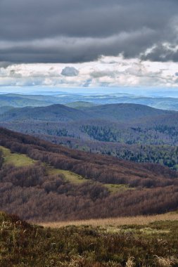 Bieszczady dağlarda ormanın güzel bir panoramik gizemli görünümü (Polonya) sisli bir yağmurlu bahar Mayıs günü, doğa yalnız - insanlar olmadan