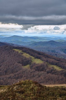 Bieszczady dağlarda ormanın güzel bir panoramik gizemli görünümü (Polonya) sisli bir yağmurlu bahar Mayıs günü, doğa yalnız - insanlar olmadan