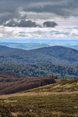 Bieszczady dağlarda ormanın güzel bir panoramik gizemli görünümü (Polonya) sisli bir yağmurlu bahar Mayıs günü, doğa yalnız - insanlar olmadan