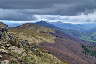 Bieszczady dağlarda ormanın güzel bir panoramik gizemli görünümü (Polonya) sisli bir yağmurlu bahar Mayıs günü, doğa yalnız - insanlar olmadan