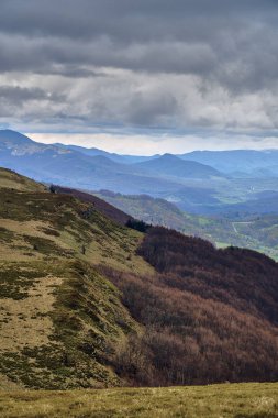 Bieszczady dağlarda ormanın güzel bir panoramik gizemli görünümü (Polonya) sisli bir yağmurlu bahar Mayıs günü, doğa yalnız - insanlar olmadan