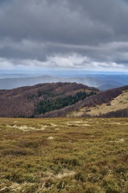 Bieszczady dağlarda ormanın güzel bir panoramik gizemli görünümü (Polonya) sisli bir yağmurlu bahar Mayıs günü, doğa yalnız - insanlar olmadan