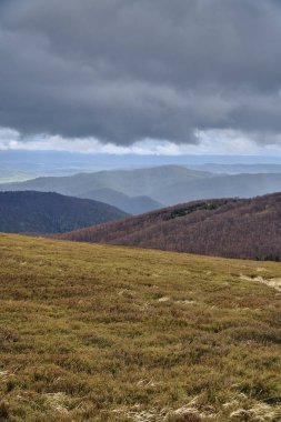 Bieszczady dağlarda ormanın güzel bir panoramik gizemli görünümü (Polonya) sisli bir yağmurlu bahar Mayıs günü, doğa yalnız - insanlar olmadan