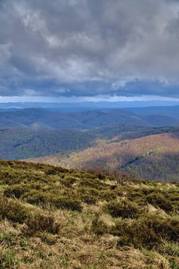 Bieszczady dağlarda ormanın güzel bir panoramik gizemli görünümü (Polonya) sisli bir yağmurlu bahar Mayıs günü, doğa yalnız - insanlar olmadan