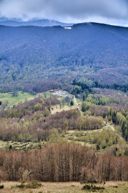 Bieszczady dağlarda ormanın güzel bir panoramik gizemli görünümü (Polonya) sisli bir yağmurlu bahar Mayıs günü, doğa yalnız - insanlar olmadan