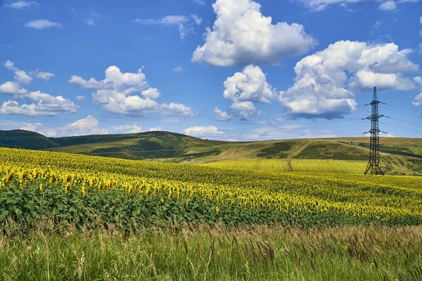 Krásné panoramatické vzdušné letní pohled při západu slunce do pohoří Bukhtarma v údolí řeky Irtyš, východní Kazachstán — Stock fotografie