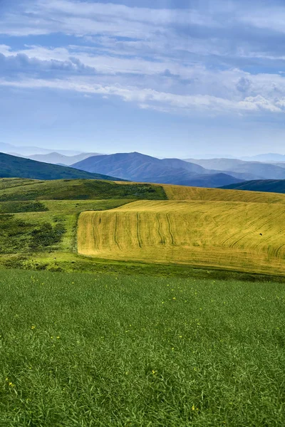 Beautiful panoramic aerial summer view at field of ripe sunflowers before the storm on the Bukhtarma mountains in the valley of the river Irtysh, eastern Kazakhstan — Stock Photo, Image