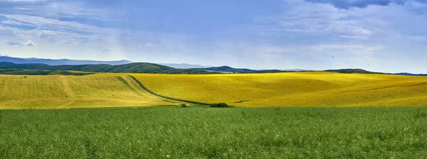 Beautiful panoramic aerial summer view at field of ripe sunflowers before the storm on the Bukhtarma mountains in the valley of the river Irtysh, eastern Kazakhstan — Stock Photo, Image