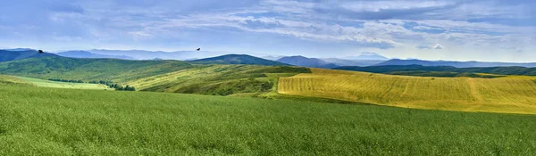 Kaunis panoraama-antenni kesänäkymä kypsien auringonkukkien pellolla ennen myrskyä Bukhtarma-vuorilla Irtysh-joen laaksossa, Itä-Kazakstanissa — kuvapankkivalokuva