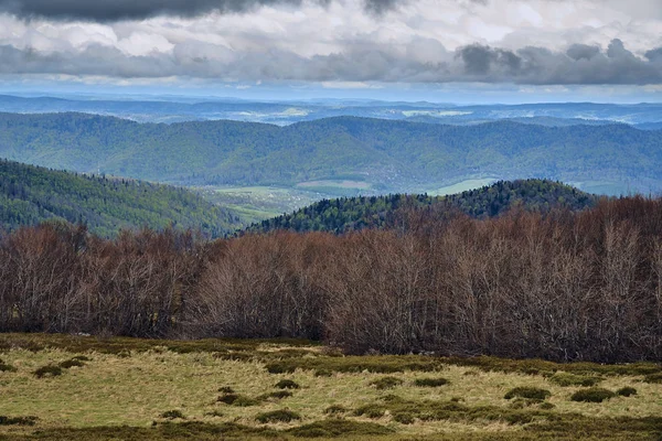 A beautiful panoramic mysterious view of the forest in the Bieszczady mountains (Poland) on a misty rainy spring May day, nature is lonely - without people — Stock Photo, Image