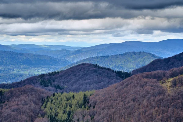 Bieszczady dağlarda ormanın güzel bir panoramik gizemli görünümü (Polonya) sisli bir yağmurlu bahar Mayıs günü, doğa yalnız - insanlar olmadan — Stok fotoğraf