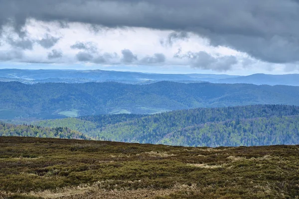 A beautiful panoramic mysterious view of the forest in the Bieszczady mountains (Poland) on a misty rainy spring May day, nature is lonely - without people — Stock Photo, Image