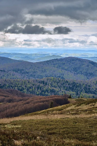 Uma bela vista panorâmica misteriosa da floresta nas montanhas Bieszczady (Polônia) em uma nebulosa primavera chuvosa Dia de maio, a natureza é solitária - sem pessoas — Fotografia de Stock