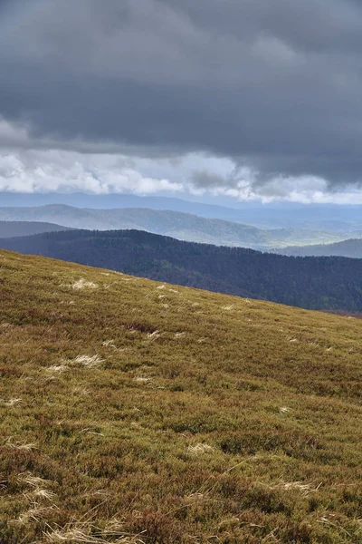 A beautiful panoramic mysterious view of the forest in the Bieszczady mountains (Poland) on a misty rainy spring May day, nature is lonely - without people — Stock Photo, Image