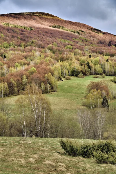 Krásný panoramatický pohled na les v Bieszczkadských horách (Polsko) na mlhavém deštivém jarním dnu květen, příroda je osamělá-bez lidí — Stock fotografie